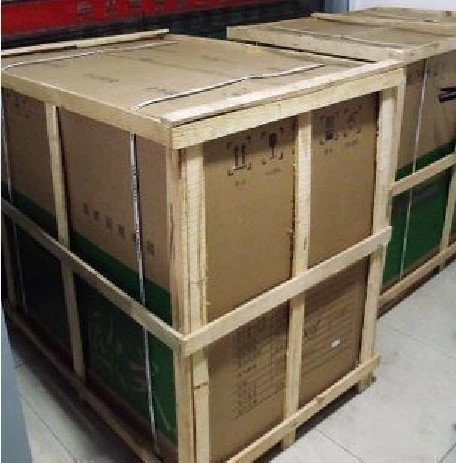 preserved flower eternal rose preserved flower rose natural preserved rose