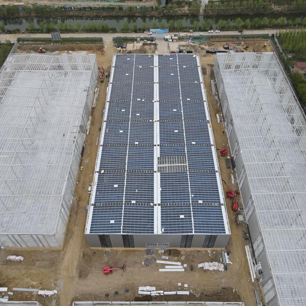 Q345B S355JR Steel Structure Building Construction Prefab Metal Frame Structure Construction