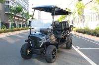 Asiento de calidad superior McPherson Suspensión independiente 4 + 2 Carro de golf de seis plazas neumáticos todoterreno