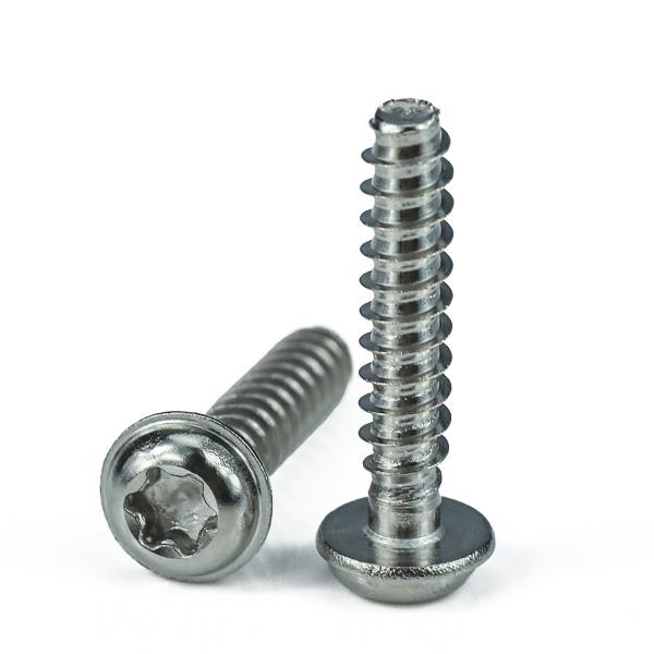 Non-standard Torx Drive Pan Head PT Thread Forming Stainless Steel WN5451 PT Screw for Plastics
