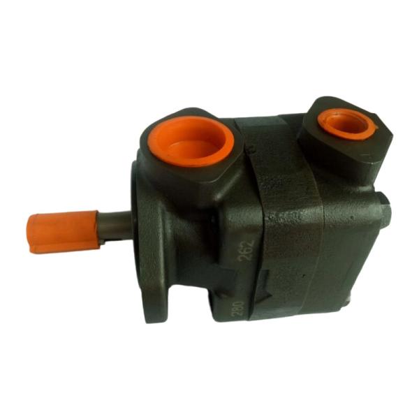 V20 Series Hydraulic Vane Pump Single Pump For Mobile And Industrial Applications