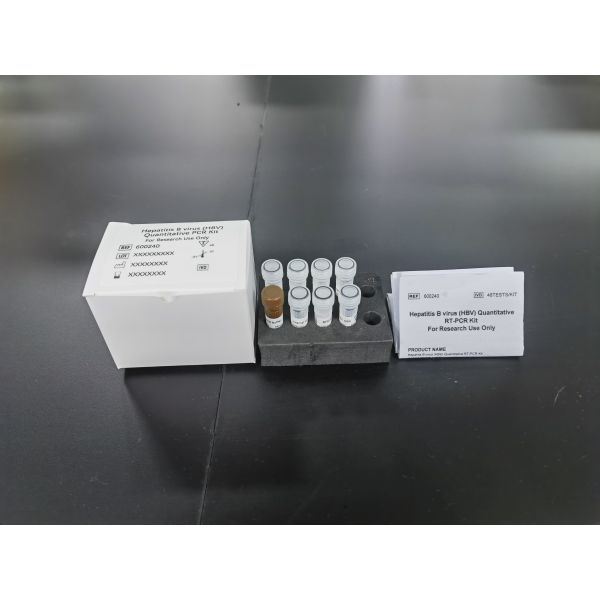 Hepatitis B Virus HBV quantitative PCR KIT Sensitivity Sample Type Test Kit With 96 Tests