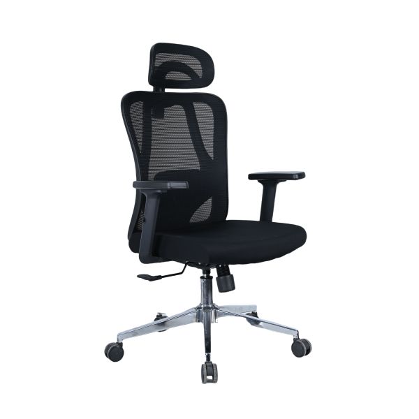Executive Ergonomic Office Chair with 2D Armrest / 2D Back Lumbar Part