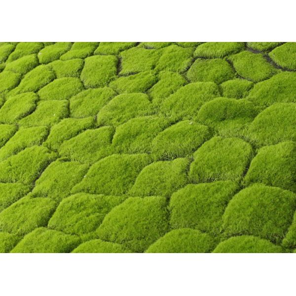 Панели циновки мха высокого PE шелка симуляции искусственные 40*60cm