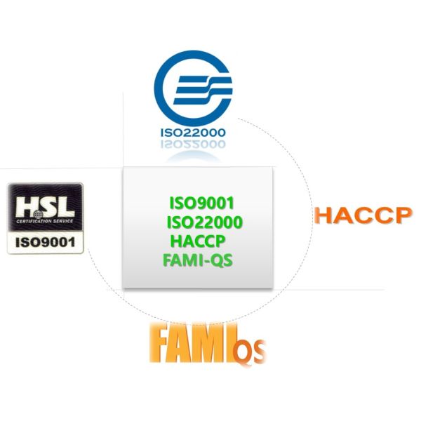 Sunhy Trading (Wuhan) Co., Ltd.