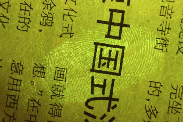 Portable Forensic Equipment , Paper Fingerprint Present Camera System