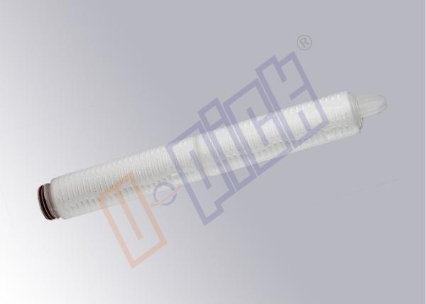 Electronic Grade 0.2 Micron Membrane Filter Cartridge With Silicone O Rings