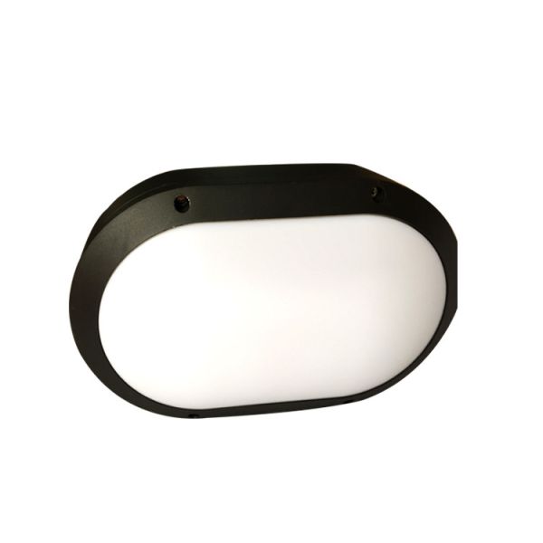 Oval Outside LED Surface Mount Ceiling Lights Decorative Lighting For Villa Garden