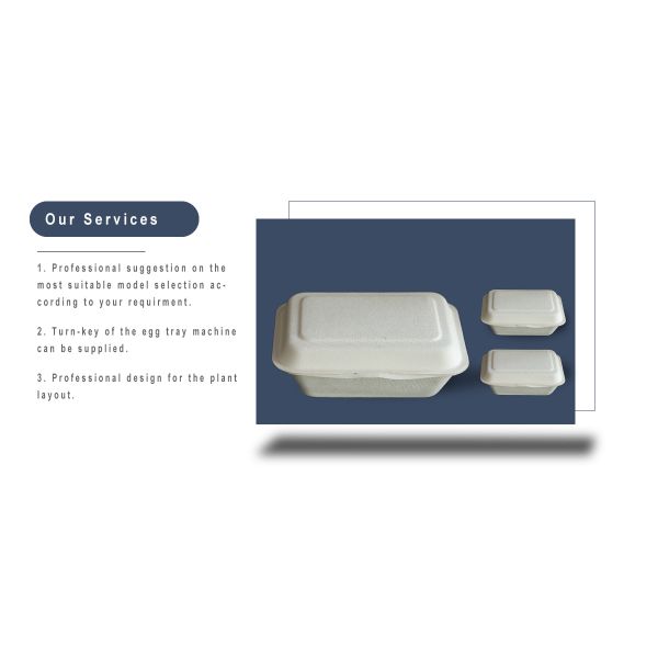 pulp molding machine sugar cane bagasse pulp machine for factory