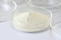 ISO9001 Food Grade Enzymes Lactase Powder PH Range 4.0-5.5