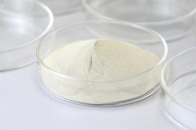 ISO9001 Food Grade Enzymes Lactase Powder PH Range 4.0-5.5