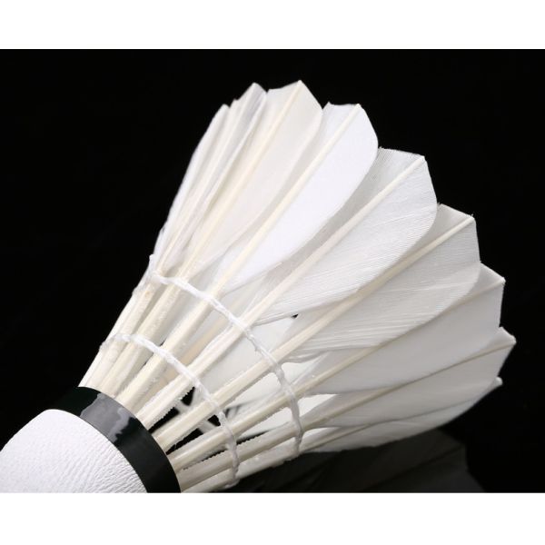 Durable Duck Feather 6 In 1 Training Entertainment Shuttlecock Badminton