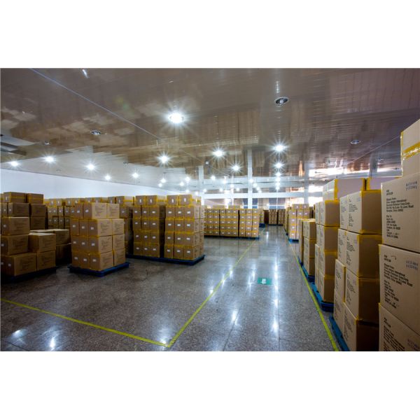 14% Elastane 25% Spandex DTM Ground 3d Printed Socks Men Women