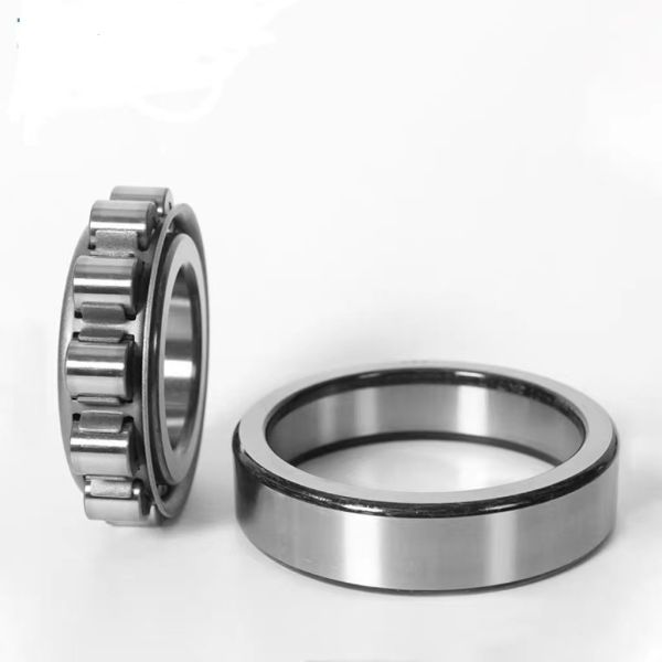 Oil Grease Lubrication N319EM Brass Cage Roller Bearing N319 for High Load Capacity
