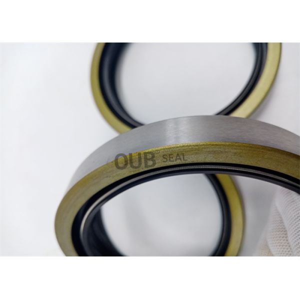 NBR FKM Oil Seal Kits For Excavator AW4068E DB2 100*125*20 AW4395E DCY 125*150*13/13.7