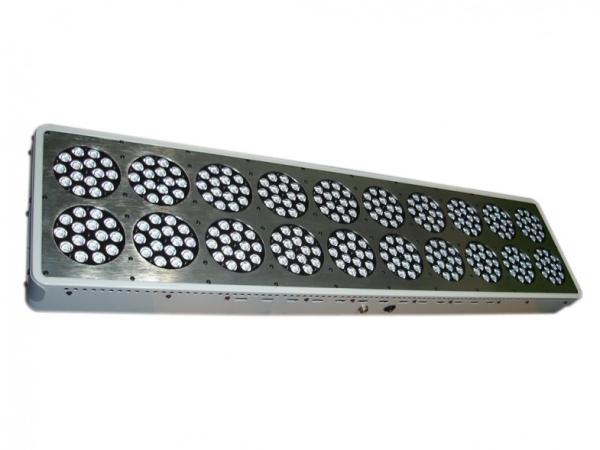 netherlands led grow light 1000w/led grow light medical/plasma grow light