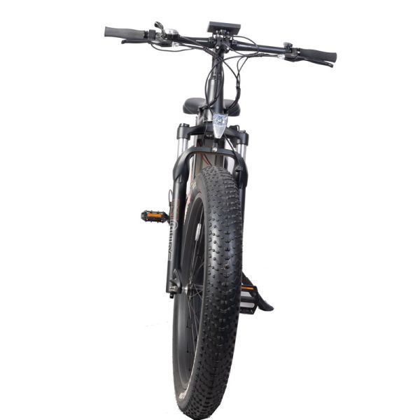 Fast Speed Central Motor Electric Mountain Bike with Color LCD Display and Disc Brake