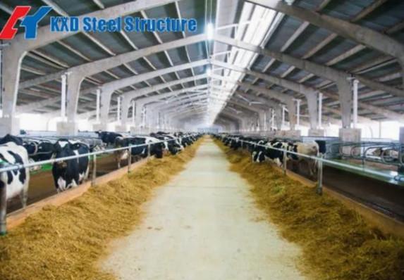 Steel Structure Prefab Poultry House Wind Resistant Pre Engineered Steel Cowshed