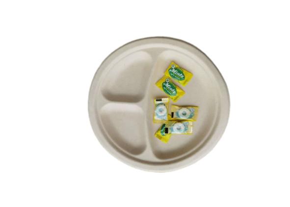 9 3 Compartment Biodegradable Sugarcane Bagasse Plates