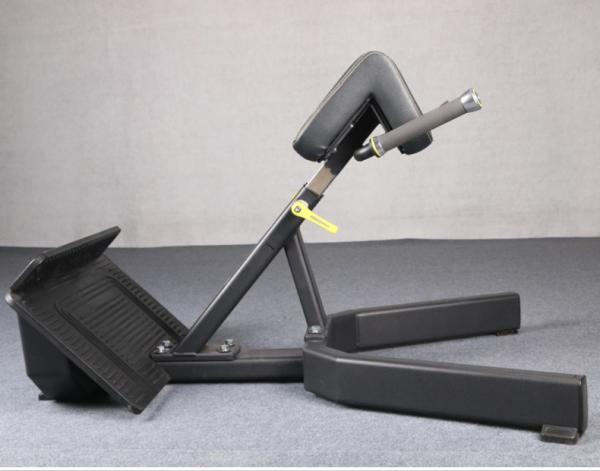 Befreeman Vente chaude salle de sport exercices de remise en forme 45 degrés machine d'extension du dos chaise romaine à vendre