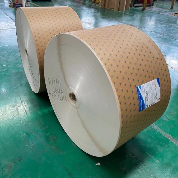 O PE de um Flexo de 210 gramas revestiu o papel no rolo