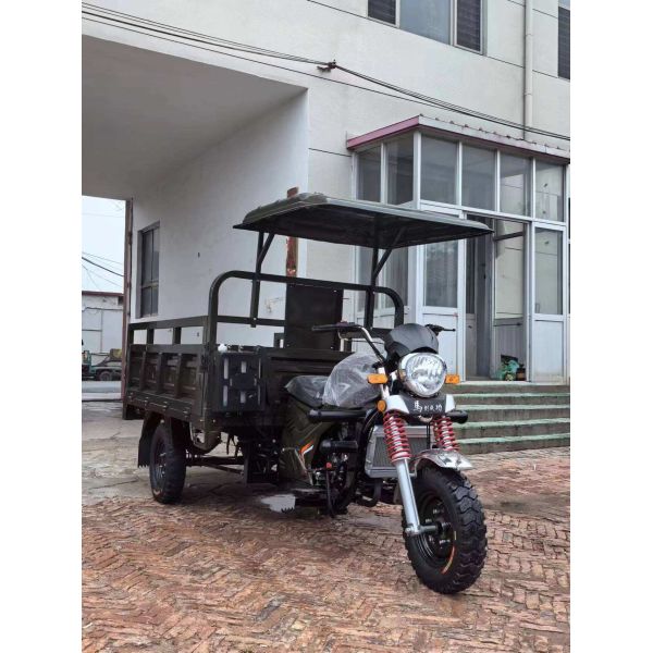Hot Selling Adult Cargo Tricycle 200cc Petrol Tipper Motorized with Open Cabin