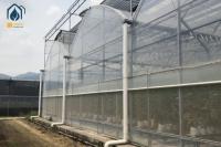 Les végétaux, les plantes agricoles, les plantes de chauffage, les végétaux, les plantes agricoles, les plantes agricoles, les plantes agricoles, les plantes agricoles, les plantes agricoles, les plantes agricoles, les plantes agricoles, les plantes agricoles, les plantes agricoles, les plantes agricoles, les plantes agricoles, les plantes agricoles, les plantes agricoles, les plantes agricoles, les plantes agricoles, les plantes agricoles, les plantes agricoles, les plantes agricoles, les plant