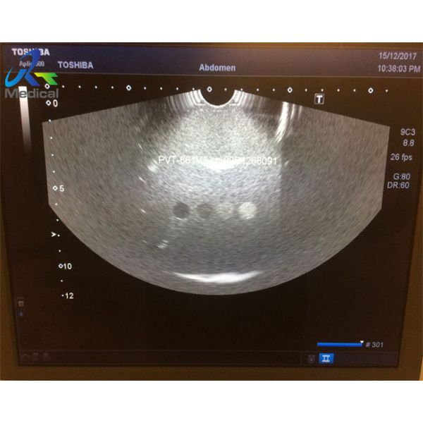 PVT-661VT 10mm Ultrasound Scanner Probe For Endovaginal Diagnostic Equipment With Enhanced Imaging Capabilities