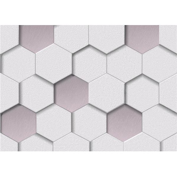 Обои винила влияния крапивницы Пвк 3д украшения Вашабле для кино