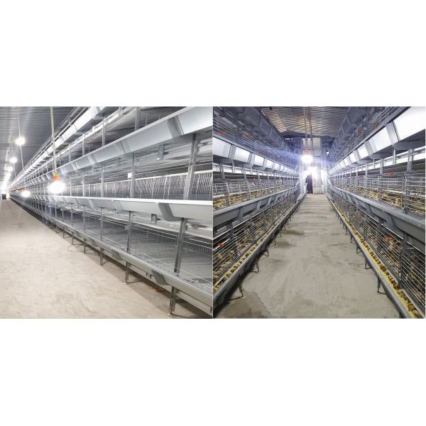 3/4 цыпленк батареи яруса разводя клетки, птицу стали Zn-Al поднимая оборудование