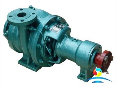 Small Volume Marine Water Pump CWF Series Horizontal Water Sealing