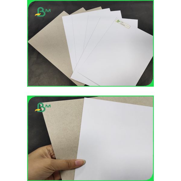FSC & EU CCNB Paper 300 / 400gsm In Rolls As Pack Material 900mm 1220mm