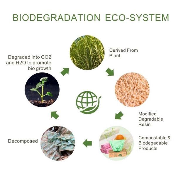 Biodegradable Compostable Eco Friendly Bio Clear Food Bag, Biodegradable White Trash Bags Compostable Food Waste Bags