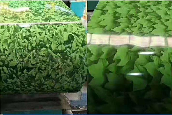 Customizable Tolerance ±1% Woodgrain Pre-Painted Aluminum Coil for Curtain Walls