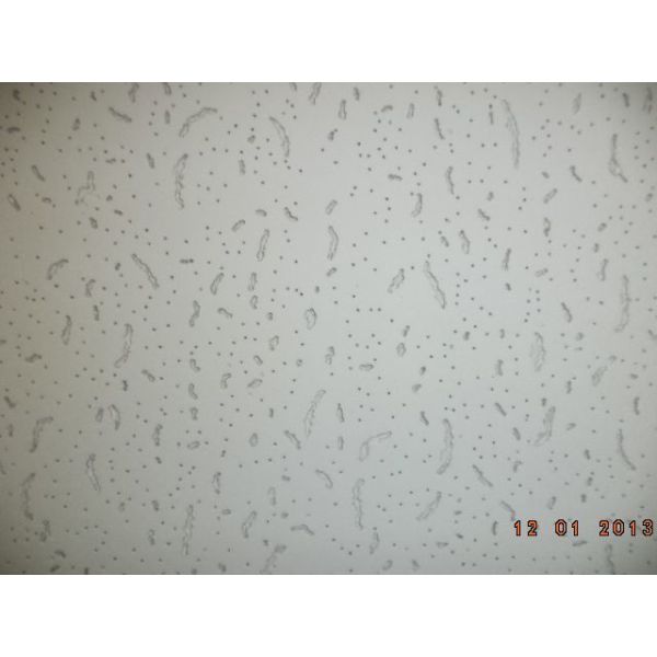 600*600mm Revestimento por pulverização acústico Fibra de lã mineral Caixa de telhado de azulejos para decoração