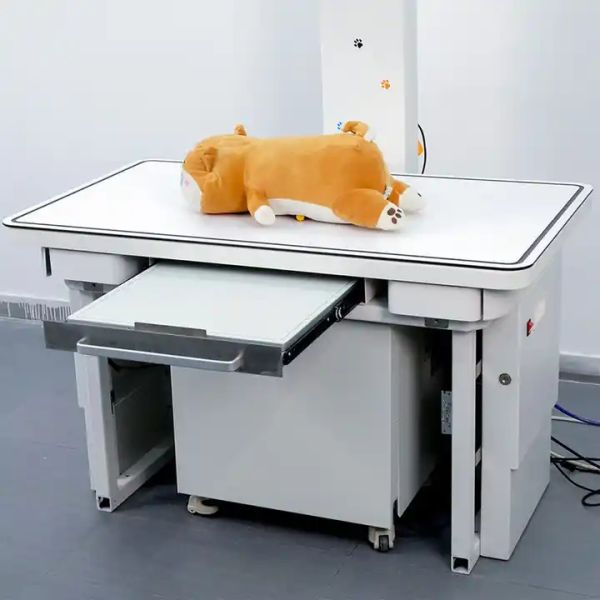 20KW Digital X Ray Machine High Frequency Medical 110kV For Veterinary Clinic