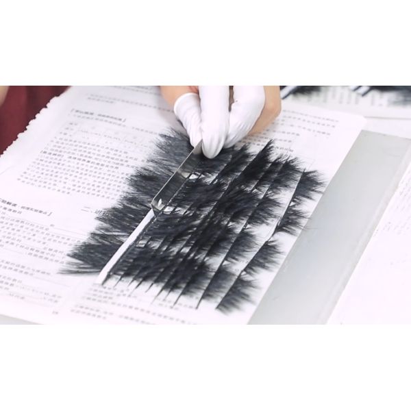 Qingdao Lashbeauty Arts & Crafts Co.,Ltd.