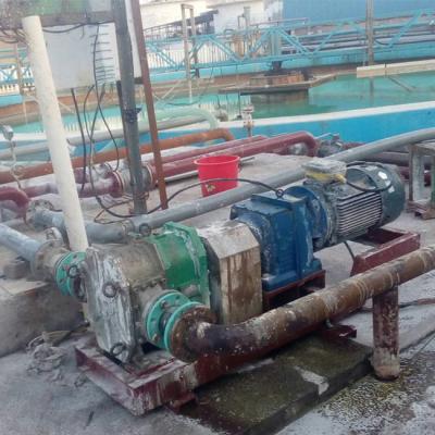 NBR Rubber Coated Rotor Pump Positive Displacement Stable Flange DN80