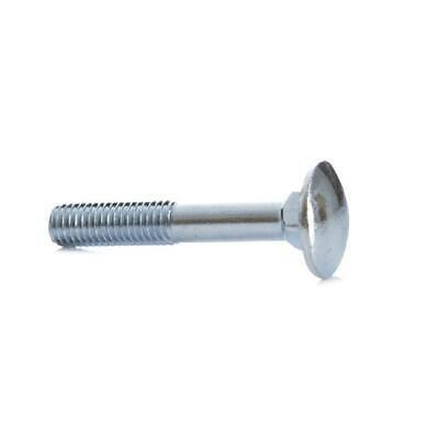 DIN603 Carriage Bolt With Hex Nuts Countersunk Carriage Bolt M5 - M10