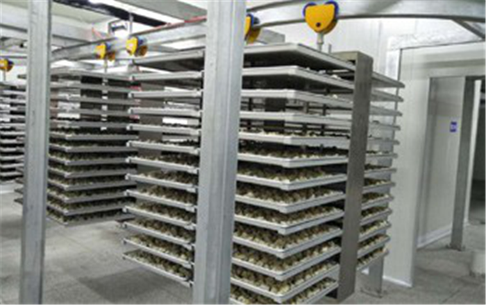 Машина для просушки замораживания вакуума овощей плодов 10m2