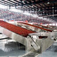 Industria SUS304 Chili Drying Systems automático para la transformación de los alimentos