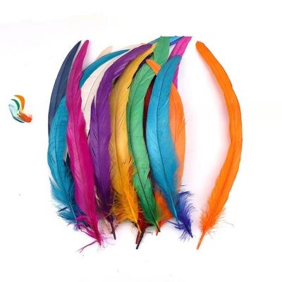 8-10 polegadas de penas de cauda longa de galo tingido para DIY acessórios de cabelo e trajes