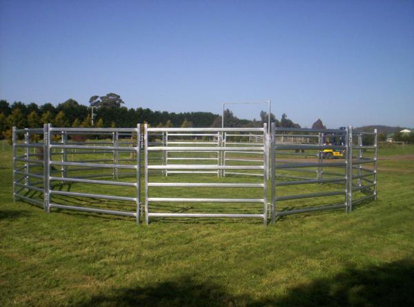 20pcs Bundle Heavy Duty Portable Corral Panels For Cattle & Gate for au
