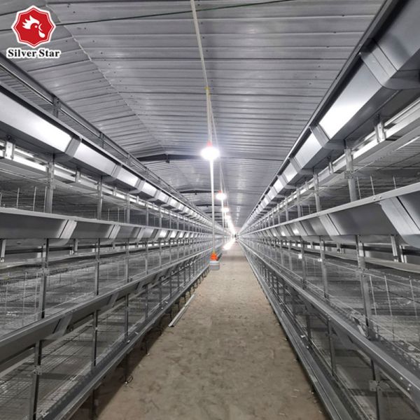 H Type Hot Galvanized Chick Brooder Cage 5 Tiers 170 Birds