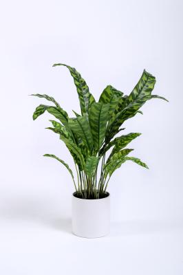 Plantas artificiais do escritório dos bonsais do salgueiro, folhas artificiais do plástico das plantas tropicais de 120cm