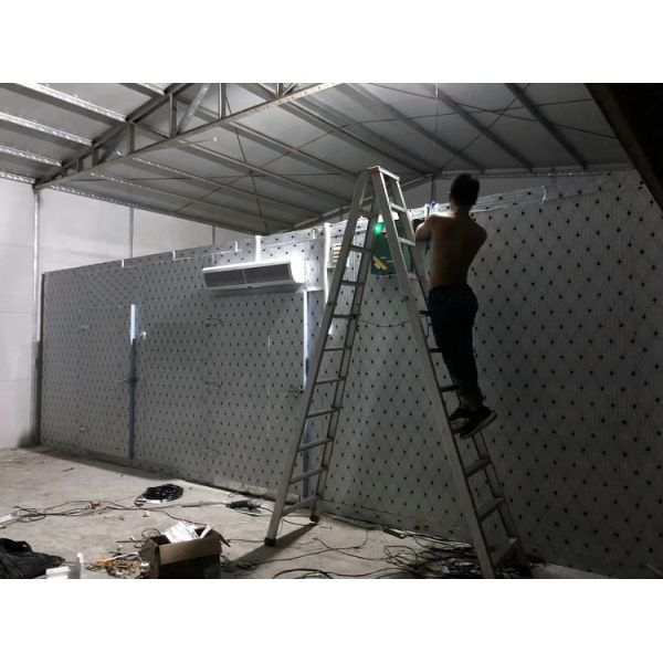 Energy Saving Cold Storage Freezer Room For Meat / Fish Famous Brand Compressor