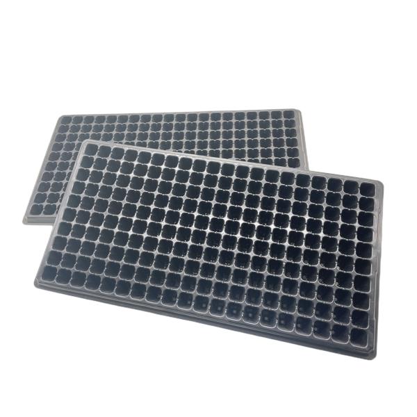 200 Holes Nursery Tray Plastic Seedling Tray Mango Plant Tomato Cell Trays