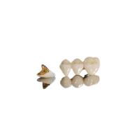 Semi Precious Implant PFM Crown High Strength For Dental Restorations