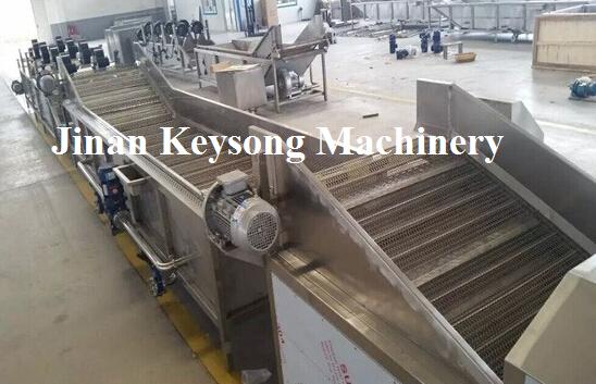 Strawberry Cherry  Fruit Washing Machine , Carrot Commercial Vegetable Washer