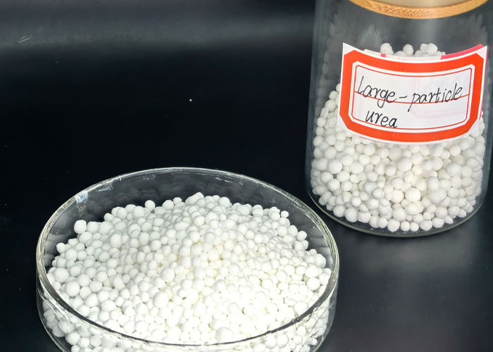 Organic Bio Fertilizer Improve Soil Microbial Activity Naturally